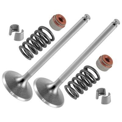 Kit de válvula de escape Caltric para Can-Am CanAm Defender HD5 4x4 2017 2018-2021 CANTIDAD 2 Foto 1 de 4