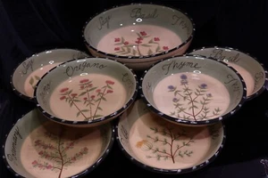CERTIFIED INTERNATIONAL CULINARY HERB 7 PIECES 1 SERVING PASTA BOWL 6 PASTA BOWL - Picture 1 of 18