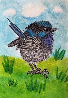 ACEO Original “Little Fairy Wren” miniature Bird Art By PJR Patti j. Rice - Image 1 of 2