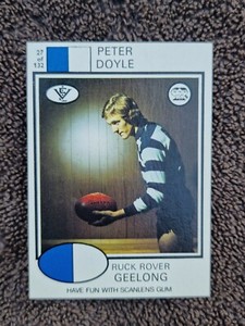 SCANLENS VFL 1975 FOOTY CARD PETER DOYLE GEELONG CATS 27 Exc+ N. MINT