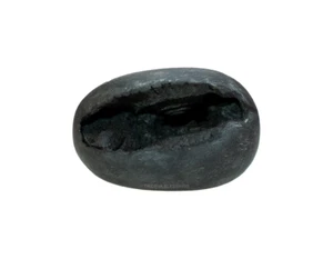 Adbhut Laxmi Narayana Shaligram Shila -XXXVII - Picture 1 of 3