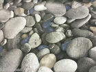 Beach PEBBLES COBBLES Curtain Upholstery Cotton Fabric Material -140cm(55") wide