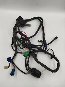 CABLAGGIO ELETTRICO - SUZUKI GSF 600 S BANDIT - ANNO 2000 AL 2003 - Imagen 1 de 8