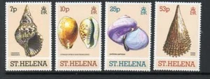 ST HELENA MNH 1981 SG381-384 SEEMUSCHELN - Bild 1 von 1