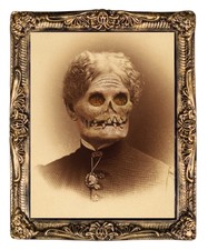 HALLOWEEN HOLOGRAPHIC PORTRAIT AUNT HAZEL  PROP DECORATION HAUNTED HOUSE