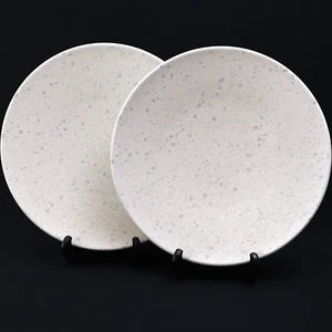 Set of 2 Japanese Dinner Plates 10.8" Mino Ceramic White Glaze w/ Gray Speckles - Picture 1 of 5