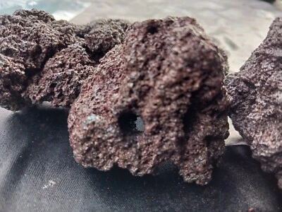 Cherry Shrimp Rock Caves Tunnels Freshwater Neocaridina Amano Aquarium Fry Fish - Image 1 of 4