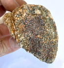 8.792 Ounce HIGH GRADE FINE GOLD ORE from California Raw Specimen 249.29 Grams