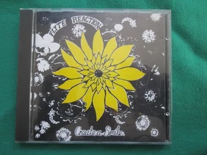 FLYTE REACTION - CREATE A SMILE - 1995 SPLENDID RECORDS - CD - Imagen 1 de 2