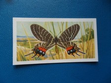 Great Britain Brooke Bond original 1964 teacard "Butterflies of the World" No.10