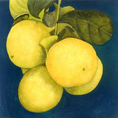 Realistic Lemons Print from an Original Painting,  Kitchen or Dining Room Decor - Image 1 of 4