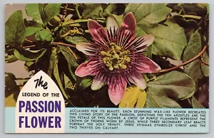 Postal Leyenda de la Flor de la Pasión - Imagen 1 de 2