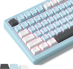 Womier Shine through Keycaps, PBT Keycaps 60 65 75 100 Percent Cherry Profile - Picture 1 of 12