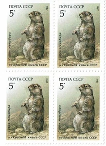 Stamp of USSR 1987 - Red book - Marmot (4 stamps) - Picture 1 of 1