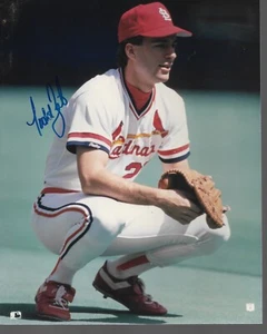 Autographed Todd Zeile St. Louis Cardinals 8x10” Photo no COA - Imagen 1 de 2