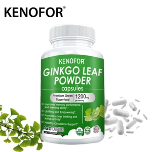 Extrait de ginkgo - améliore la mémoire et la capacité d'apprentissage - Foto 1 di 14