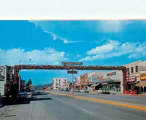 AFTON WYOMING ELK HORN ARCH VINTAGE STREET SCENE POSTCARD VIEW - Picture 1 of 2