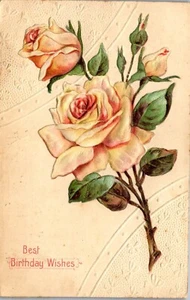 Rosas rosas rosadas vintage con mejores deseos de cumpleaños en relieve y alto relieve publicadas 1915 - Imagen 1 de 3