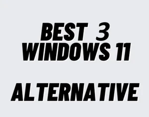 Meilleures 3 Alternatives au Système d'Exploitation Windows 11 Clé USB pour Tout PC - Photo 1/4