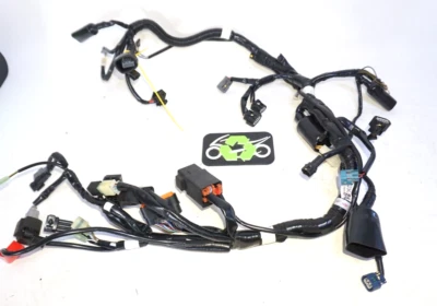 Arnés de cableado principal Z125 Pro 125 Kawasaki 2023 OEM 869 millas 239835 OEM Foto 1 de 4