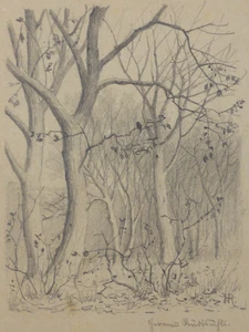 Hermann Traugott Rüdisühli (1864-1944) Bleistiftzeichnung Waldstück Vogel (151) - Picture 1 of 10
