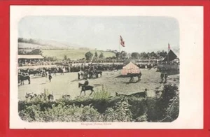 HEREFORDSHIRE. KINGTON HORSE SHOW - Picture 1 of 1