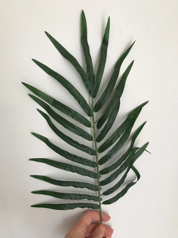 11 Helechos Artificiales de Boston Follaje Planta Hojas Flores Decoración del Hogar 50cm  Foto 1 de 1