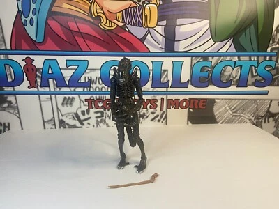 Фигурка NECA Aliens КОРИЧНЕВЫЙ ВОИН - КСЕНОМОРФ Ultimate отдельная НЕПОЛНАЯ - Изображение 1 из 4