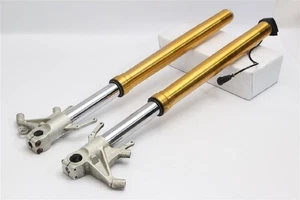 Aprilia Caponord 1200 Front Fork - Picture 1 of 12