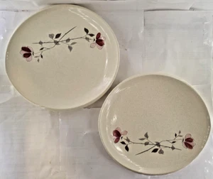 2 Vintage Franziskaner Duett Steingut Muster Essteller 10,75" Rose A - Bild 1 von 24