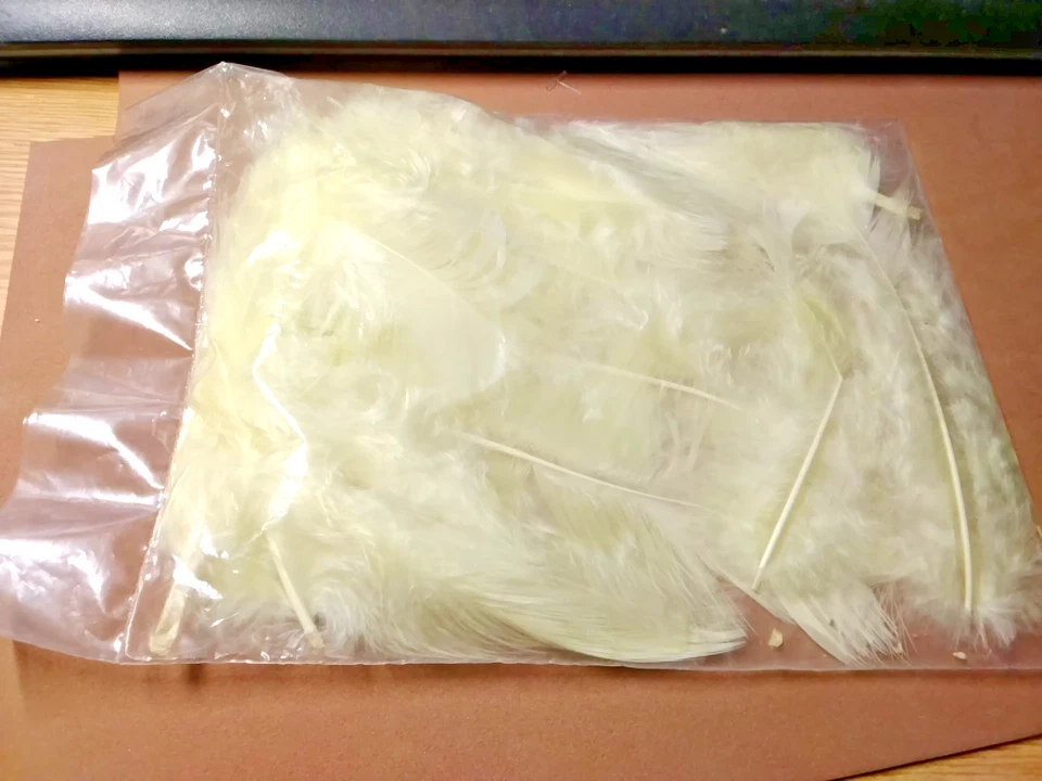 Hühner-Federn hellgelb 15 St. - Bild 1 von 1