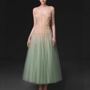 Lo último Dama Vestido de Hadas Malla Hueco Verde Menta Bordado Vestido de Malla Vestido de Fiesta - Imagen 1 de 14