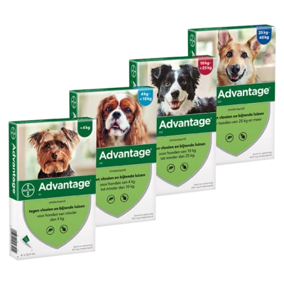 Advantage¹perro dog anti pulga fleas treatment 1-40 kg varios tamanos 4 pipetas - Image 1 of 3