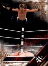 2016 Topps WWE Bronze Wrestling Singles (Pick Your Cards)