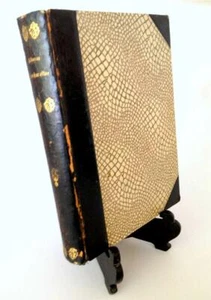 Rare TYVE AAR EFTER A. Dumas Twenty Years After Three Musketeers Dutch 1899 Book - Picture 1 of 12