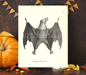 Ägyptische Rousette Fledermaus gruselige Fledermäuse Poster Druck Vintage Halloween Deko - Bild 1 von 4