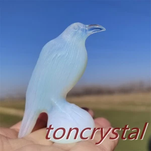 2" Opalite Raven Skull Carved Quartz Crystal Skull Bird Gift 1pc - Picture 1 of 22