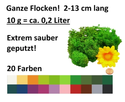 Muwse 10g kein Dreck sauberes Rentier- Islandmoos ganze Flocken gefärbt haltbar - Bild 1 von 3