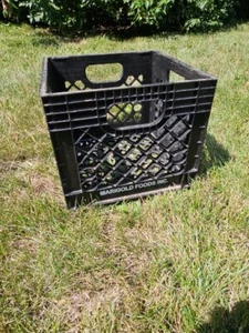 Caja de leche de plástico para lácteos Calgold Foods negra de colección  - Imagen 1 de 7