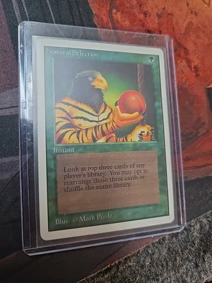 Natural Selection MTG Unlimited Edition Magic the Gathering LP - Image 1 of 2