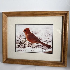 Framed Original Photograph by Christopher Maher cardinal signed - Picture 1 of 5