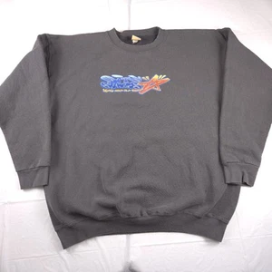 Vtg 90s City Stars Skate Sweatshirt Kareem Campbell Shortys Chocolate Hookups XL - Picture 1 of 6