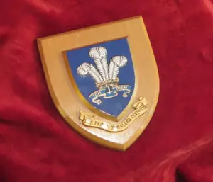 BRITISH MILITARY Prince of Wales Division PLAQUE SHIELD - Picture 1 of 7