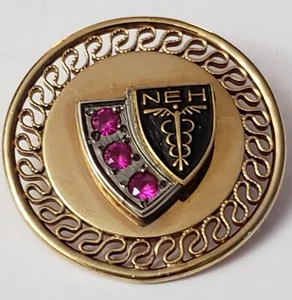 Vintage NEH 12kt 1/20 Gold Filled Ruby Pin National Endowment for the Humanities - Bild 1 von 6
