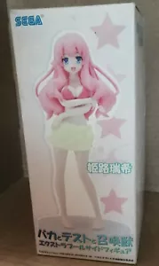 Shoukanjuu Himeji Mizuki Dolls Baka to Test Figure Sega 2010 anime Fantasy Toy - Bild 1 von 8