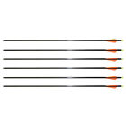 6 Fiberglass 32 Inches Arrows 32" for Compound Archery Bow Screw in Field Points