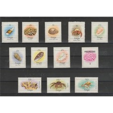 TONGA 1984 SERIE FAUNA CONCHIGLIE 13 VAL ADESIVI MNH MF73112