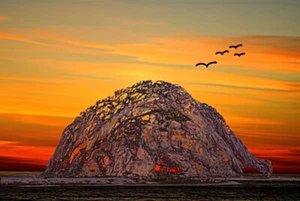 Morro Rock 3007 by Barbara Snyder Morro Bay California Seascape 8x10 Paper Print - Picture 1 of 2