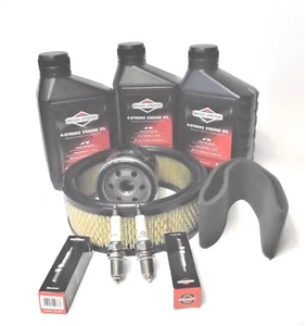 Wartung- Kit für Briggs & Stratton  Vanguard V-Twin Motoren, 12.5 bis 21 PS - Bild 1 von 4
