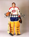 NHL 1970's Montreal Canadiens Goalie Ken Dryden Color 8 X 10 Photo Picture